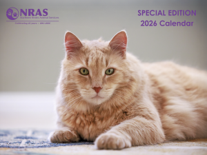 NRAS 25th Anniversary Calendar 2026 image of cat