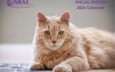 NRAS 2026 Calendar is here