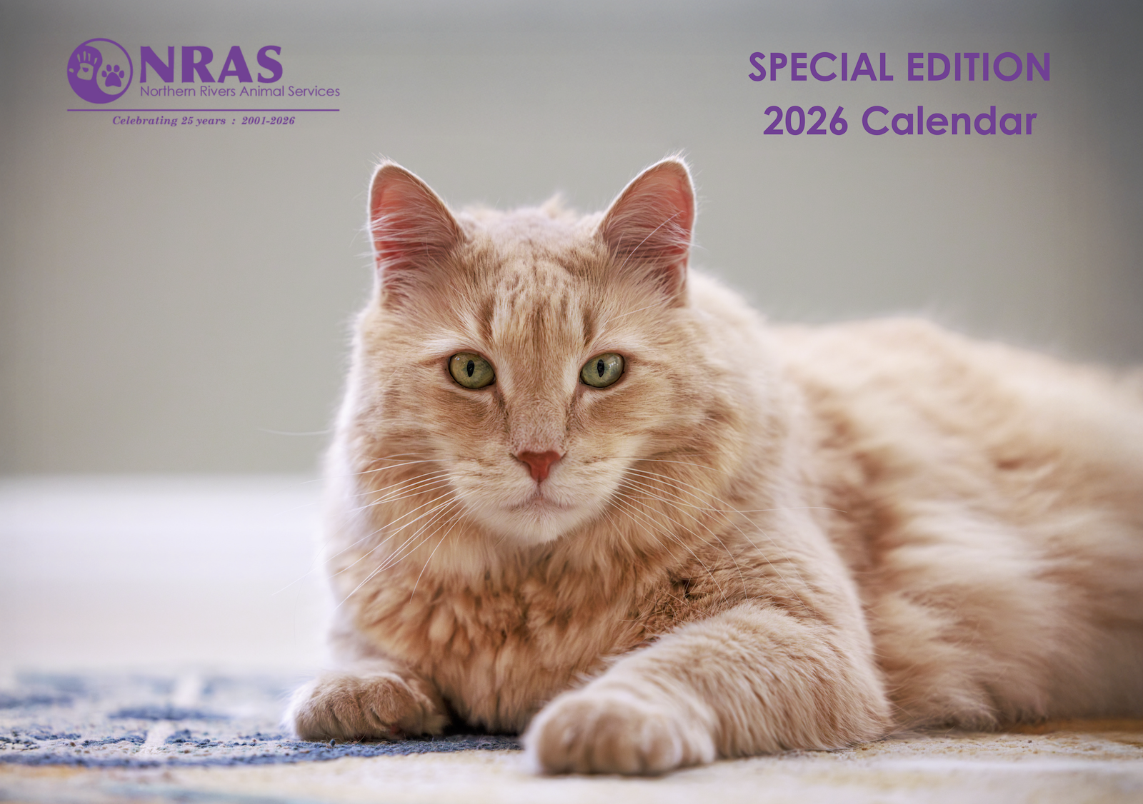 NRAS 25th Anniversary Calendar 2026 image of cat