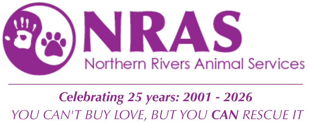 NRAS logo celebrating 25 years