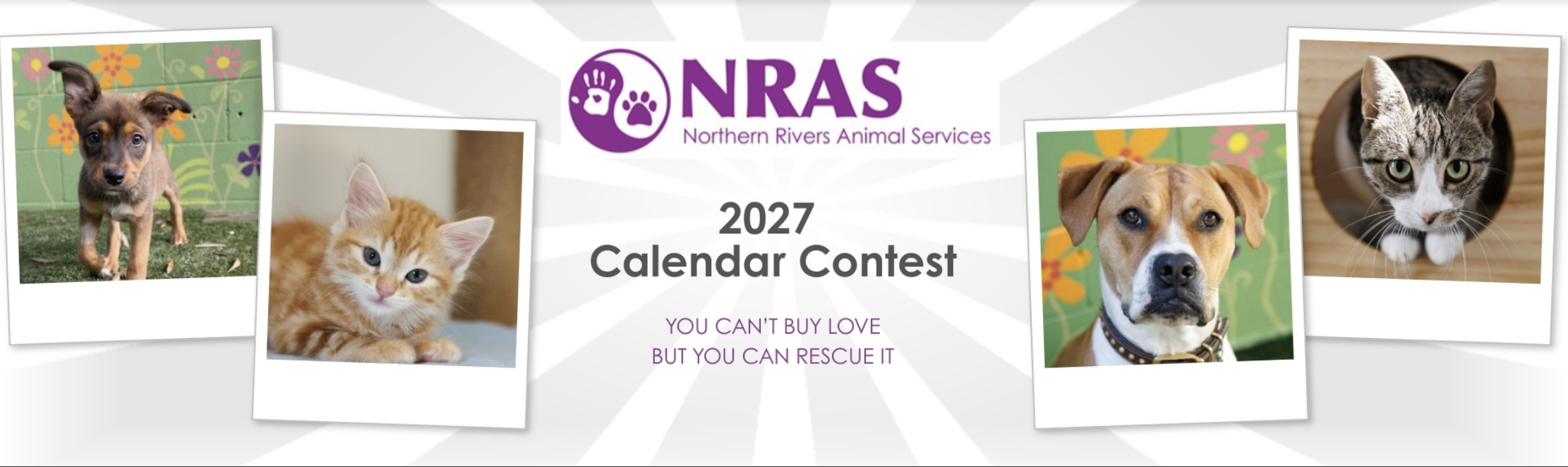 NRAS 2027 Pet Calendar Competition